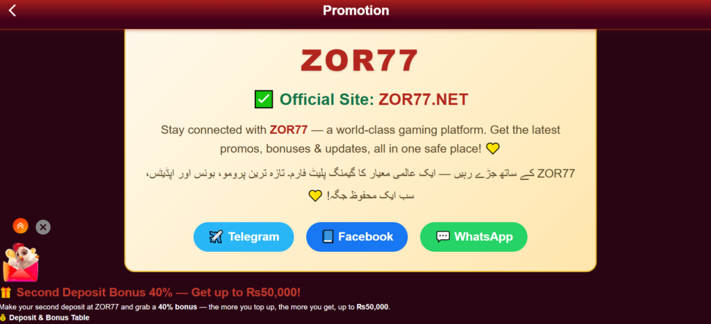 zor77 game