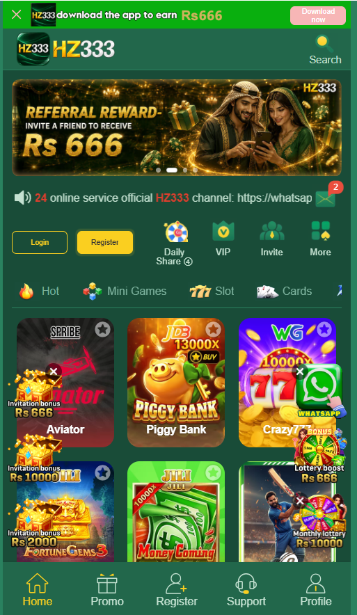 HZ333 GAME
